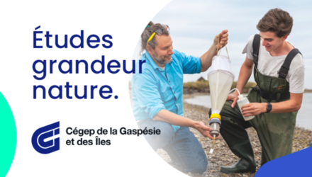 Cégep de Gaspésie et des îles Cégep de Gaspésie et des îles