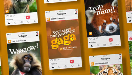 Stratégie et campagne publicitaire intégrée Stratégie et campagne publicitaire intégrée