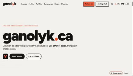Site web Ganolyk — Conception bilingue et identité visuelle Site web Ganolyk — Conception bilingue et identité visuelle